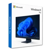 Windows 11 Pro
